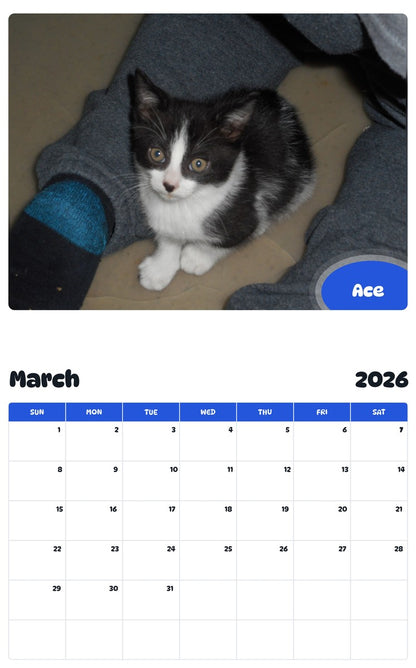 November 2025 - October 2026 Ace - Pawidols Pet Calendar