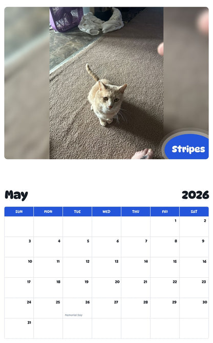 2026 - 2027 Stripes - Pawidols Pet Calendar