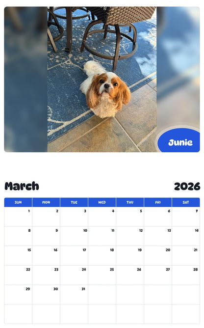 November 2025 - October 2026 Junie - Pawidols Pet Calendar