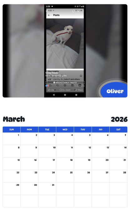 November 2025 - October 2026 Oliver - Pawidols Pet Calendar