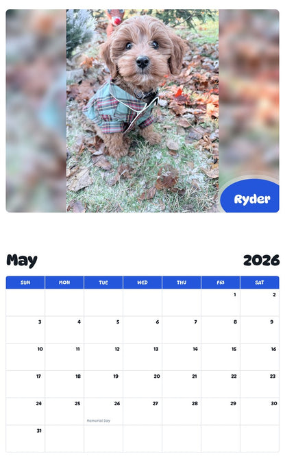 2026 - 2027 Ryder - Pawidols Pet Calendar