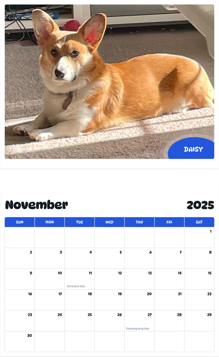 July 2025 - June 2026 Daisy - Pawidols Pet Calendar