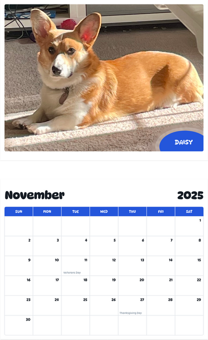 July 2025 - June 2026 Daisy - Pawidols Pet Calendar