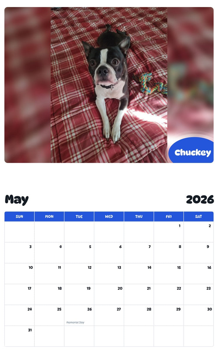 2026 - 2027 Chuckey - Pawidols Pet Calendar
