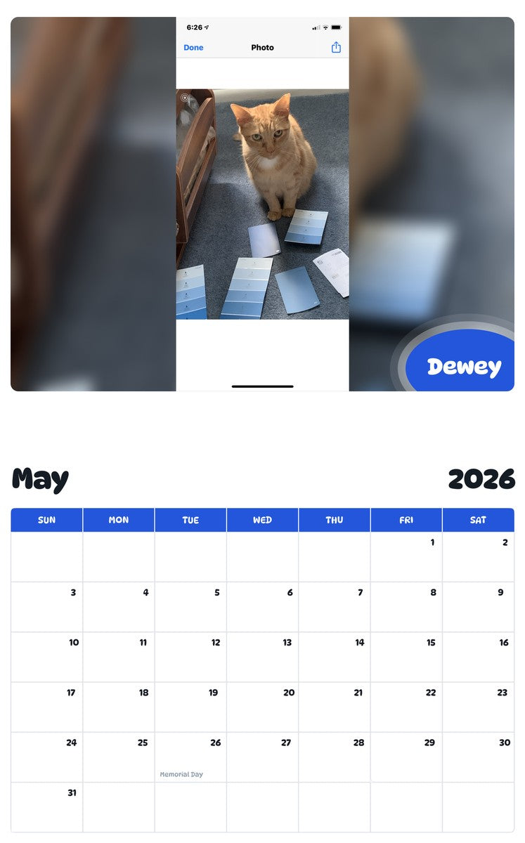 2026 - 2027 Dewey - Pawidols Pet Calendar