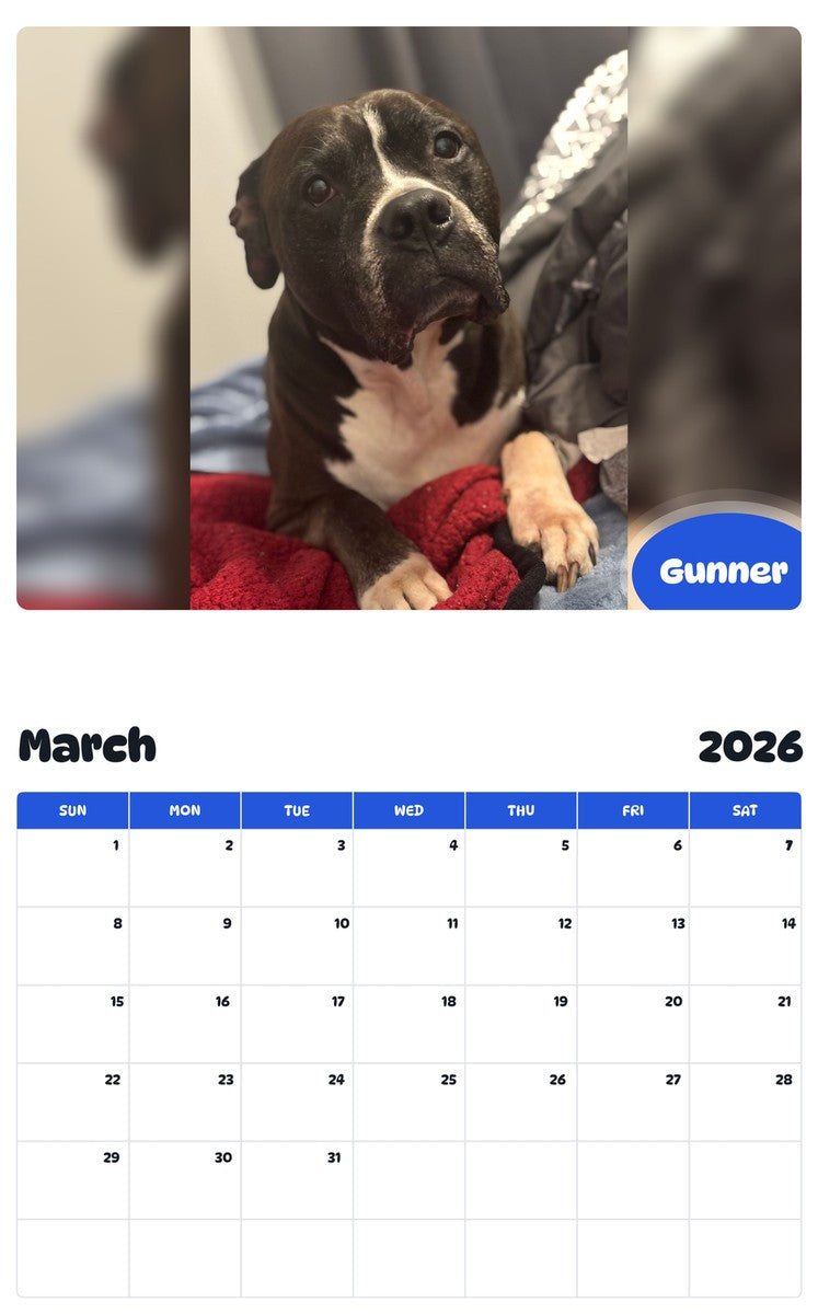 November 2025 - October 2026 Gunner - Pawidols Pet Calendar