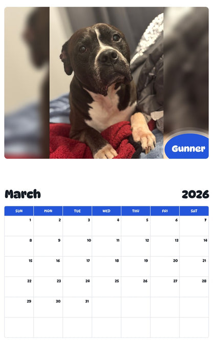 November 2025 - October 2026 Gunner - Pawidols Pet Calendar