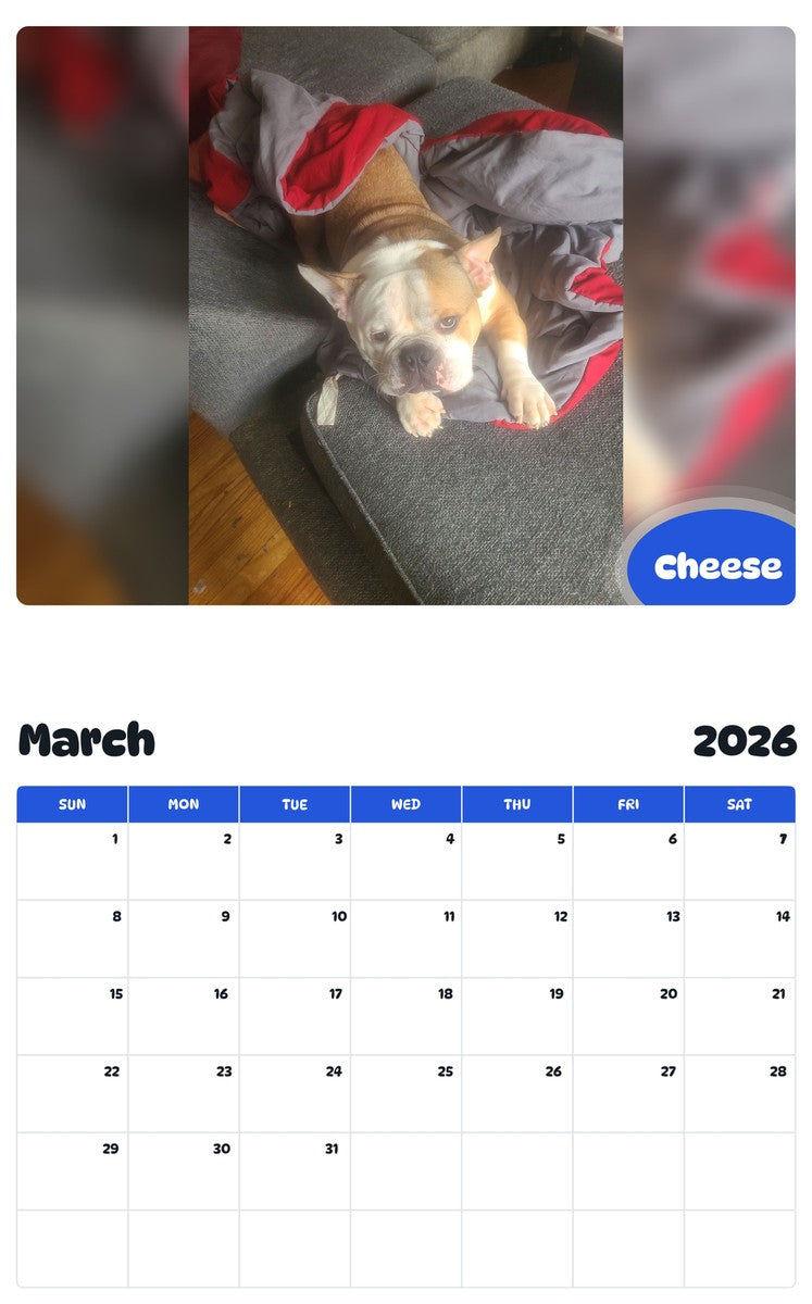 November 2025 - October 2026 Cheese - Pawidols Pet Calendar