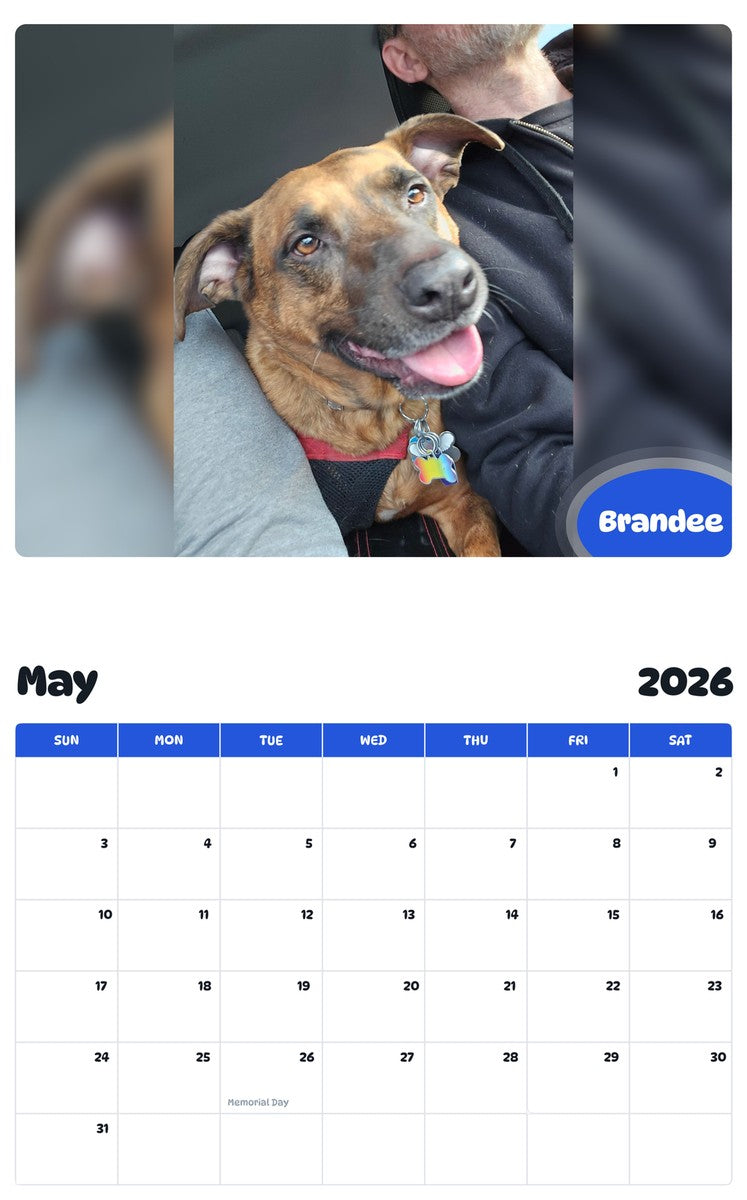 2026 - 2027 Brandee - Pawidols Pet Calendar