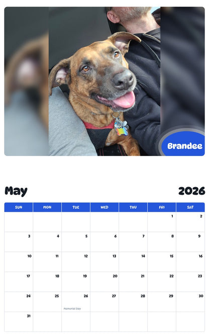2026 - 2027 Brandee - Pawidols Pet Calendar