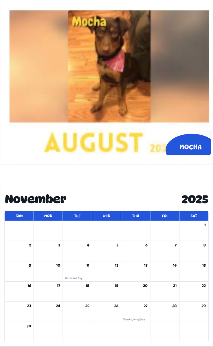 July 2025 - June 2026 Mocha - Pawidols Pet Calendar