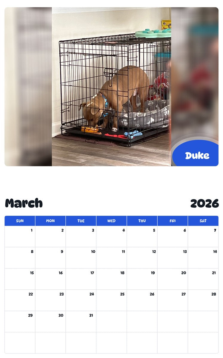 November 2025 - October 2026 Duke - Pawidols Pet Calendar