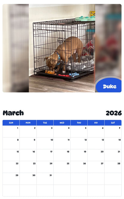 November 2025 - October 2026 Duke - Pawidols Pet Calendar
