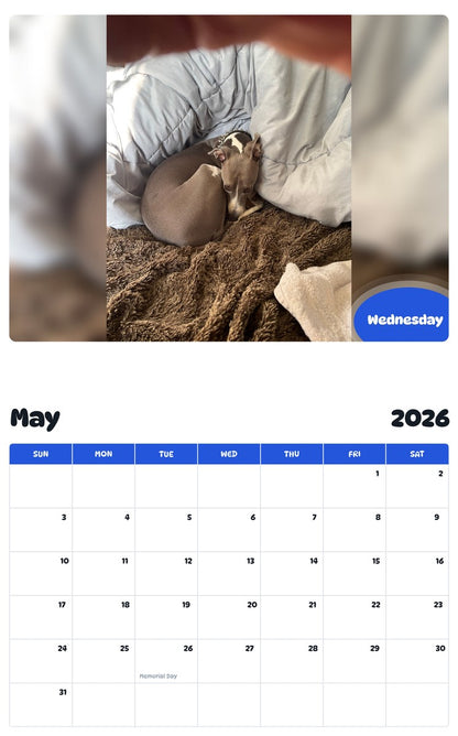 2026 - 2027 Wednesday - Pawidols Pet Calendar