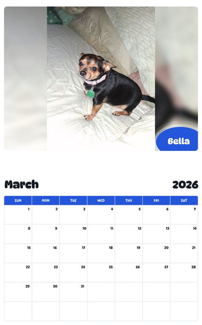 November 2025 - October 2026 Bella - Pawidols Pet Calendar