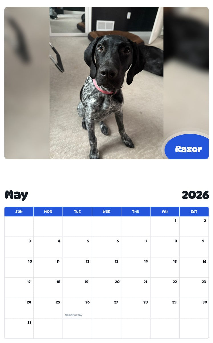 2026 - 2027 Razor - Pawidols Pet Calendar