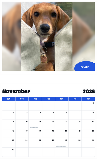 July 2025 - June 2026 Penny - Pawidols Pet Calendar