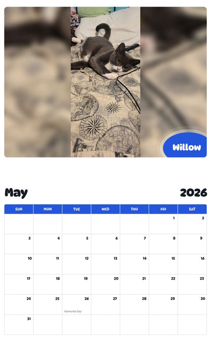 2026 - 2027 Willow - Pawidols Pet Calendar