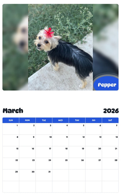 November 2025 - October 2026 Pepper - Pawidols Pet Calendar