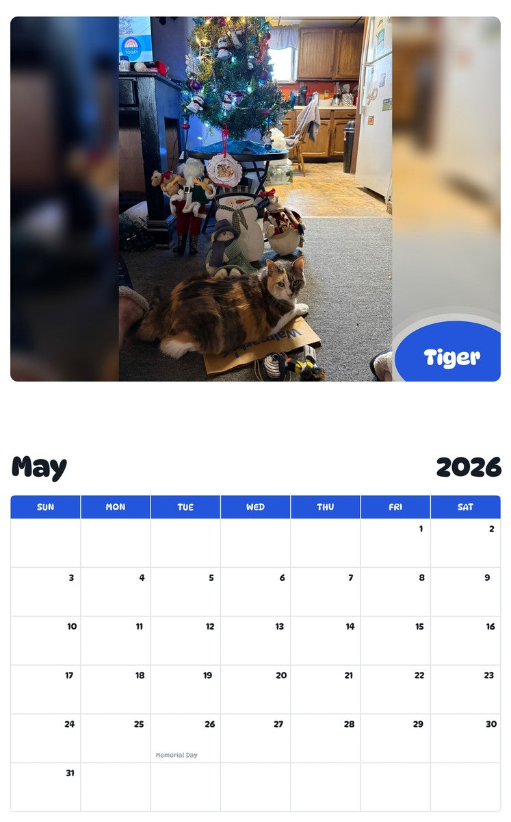 2026 - 2027 Tiger - Pawidols Pet Calendar