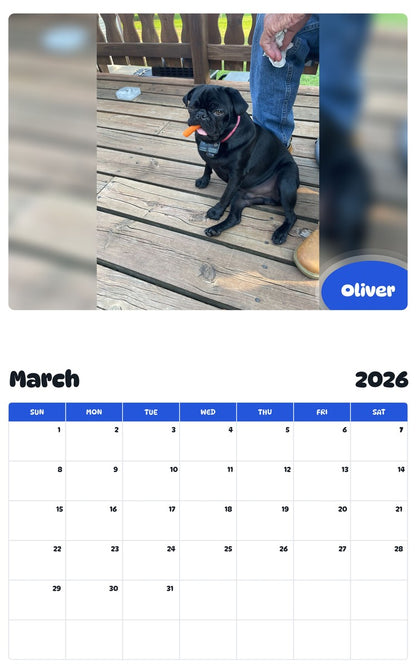 November 2025 - October 2026 Oliver - Pawidols Pet Calendar
