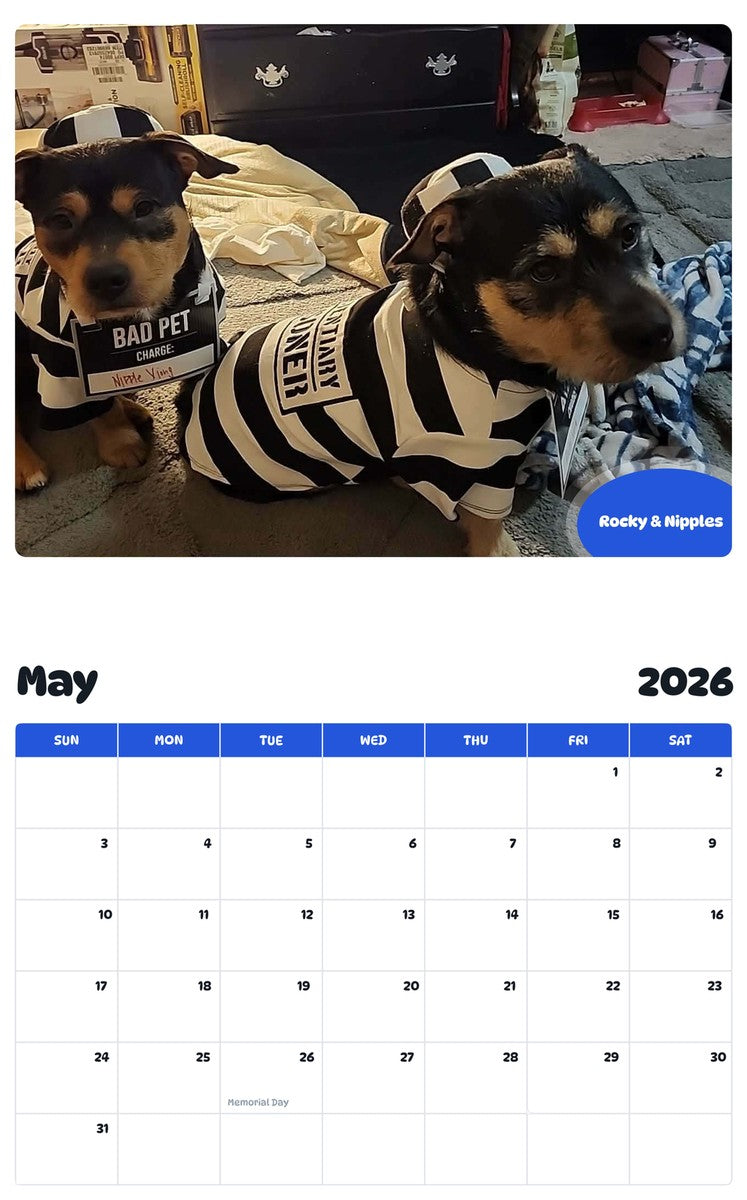 2026 - 2027 Rocky & Nipples - Pawidols Pet Calendar