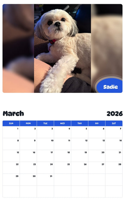 November 2025 - October 2026 Sadie - Pawidols Pet Calendar