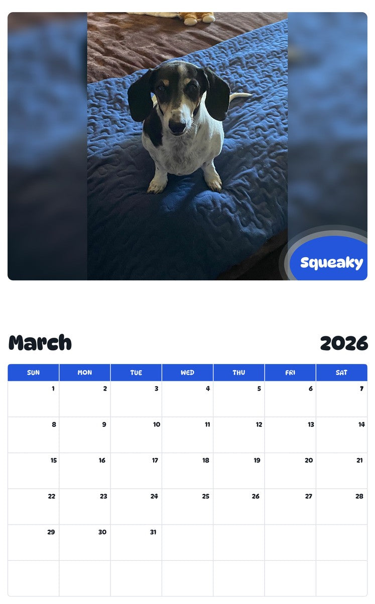 November 2025 - October 2026 Squeaky - Pawidols Pet Calendar