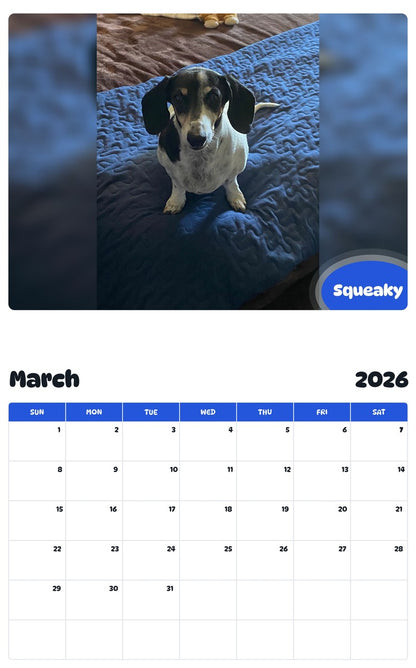 November 2025 - October 2026 Squeaky - Pawidols Pet Calendar