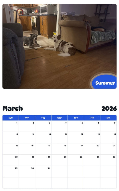 November 2025 - October 2026 Summer - Pawidols Pet Calendar