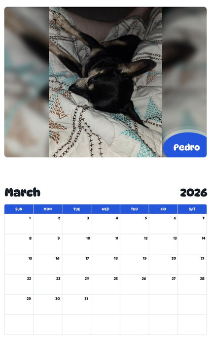 November 2025 - October 2026 Pedro - Pawidols Pet Calendar