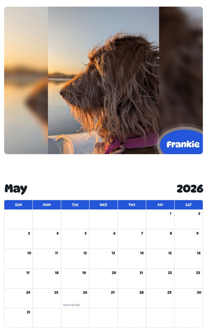 2026 - 2027 Frankie - Pawidols Pet Calendar