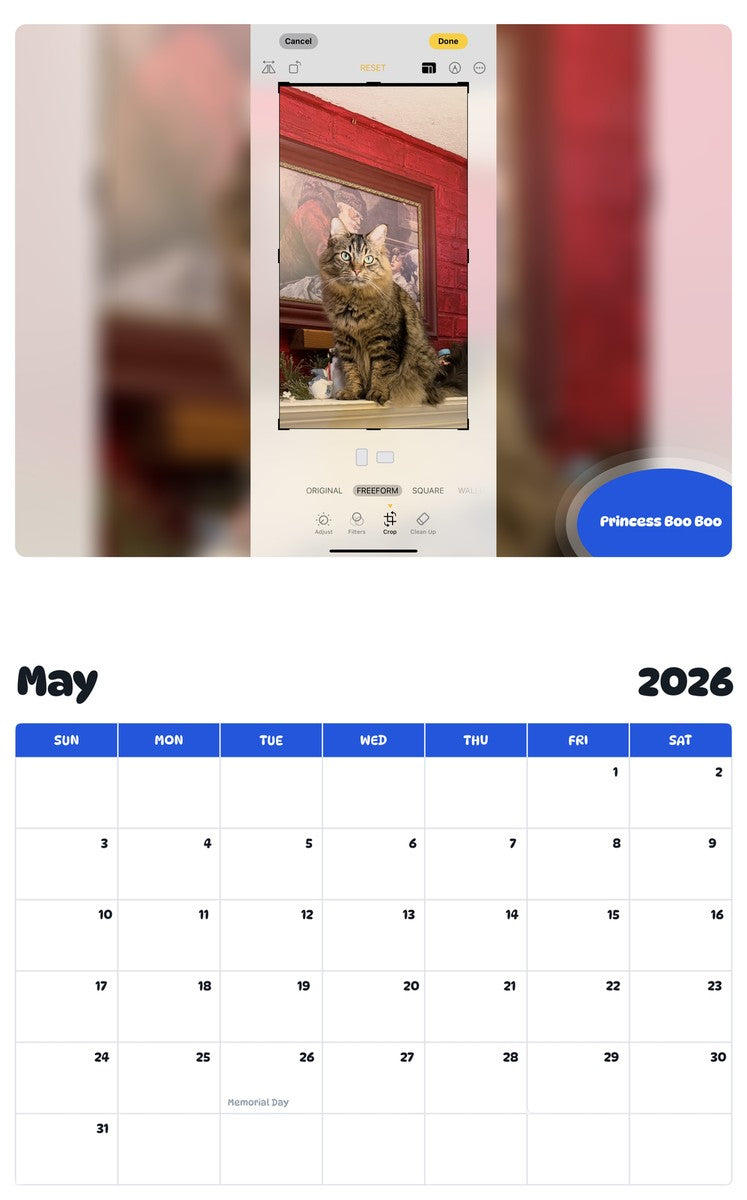 2026 - 2027 Princess Boo Boo - Pawidols Pet Calendar