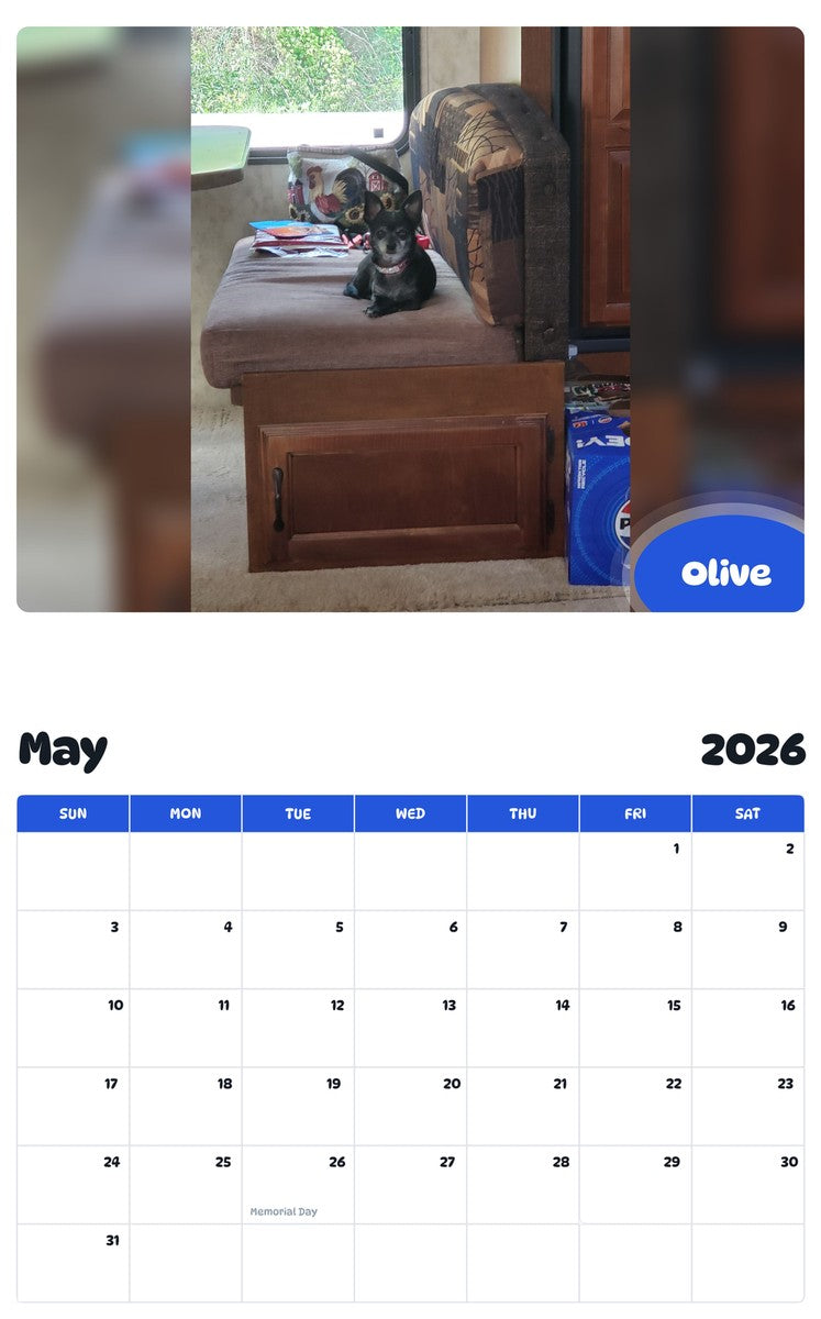 2026 - 2027 Olive - Pawidols Pet Calendar