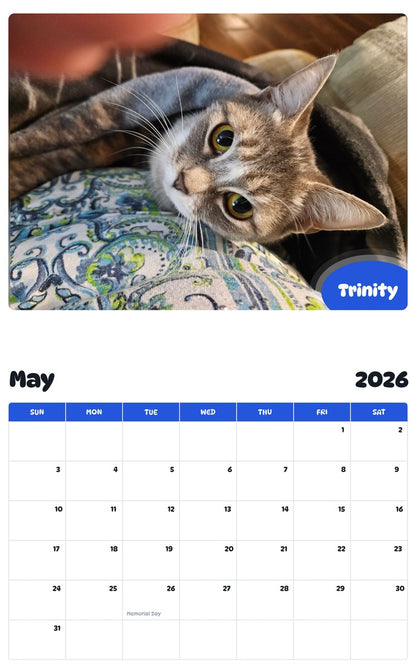 2026 - 2027 Trinity - Pawidols Pet Calendar