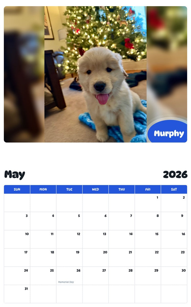 2026 - 2027 Murphy - Pawidols Pet Calendar