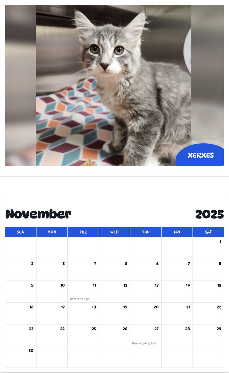 July 2025 - June 2026 XERXES - Pawidols Pet Calendar