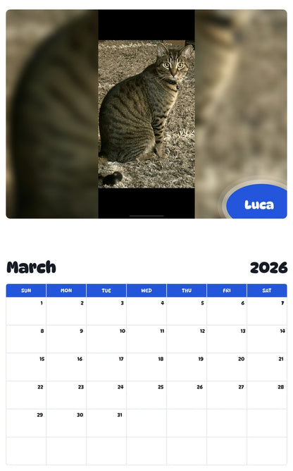 November 2025 - October 2026 Luca - Pawidols Pet Calendar