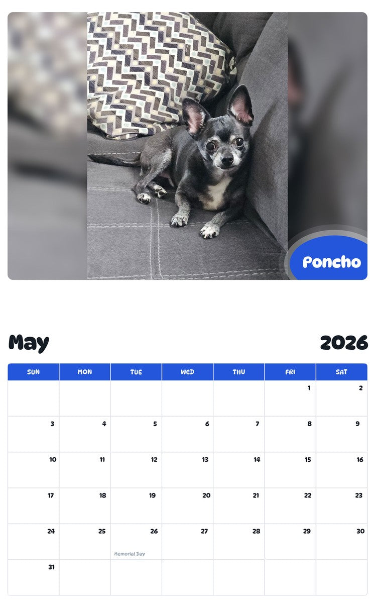 2026 - 2027 Poncho - Pawidols Pet Calendar