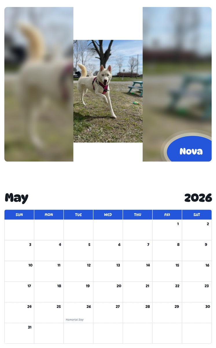 2026 - 2027 Nova - Pawidols Pet Calendar