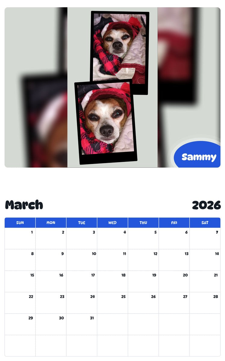 November 2025 - October 2026 Sammy - Pawidols Pet Calendar