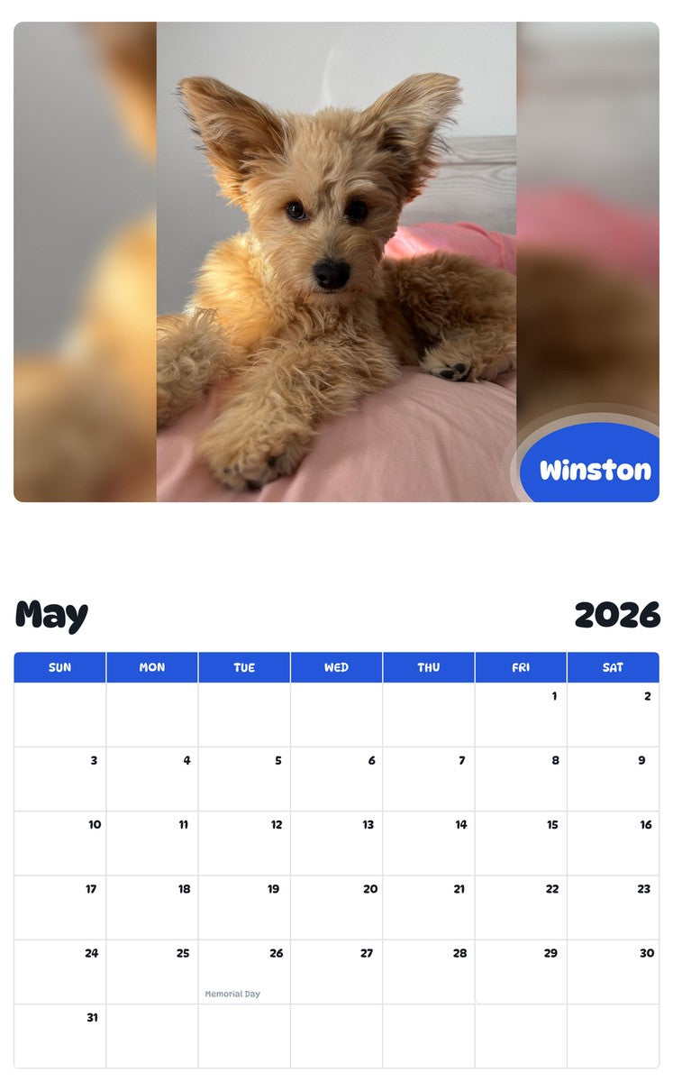 2026 - 2027 Winston - Pawidols Pet Calendar