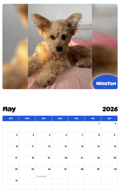 2026 - 2027 Winston - Pawidols Pet Calendar