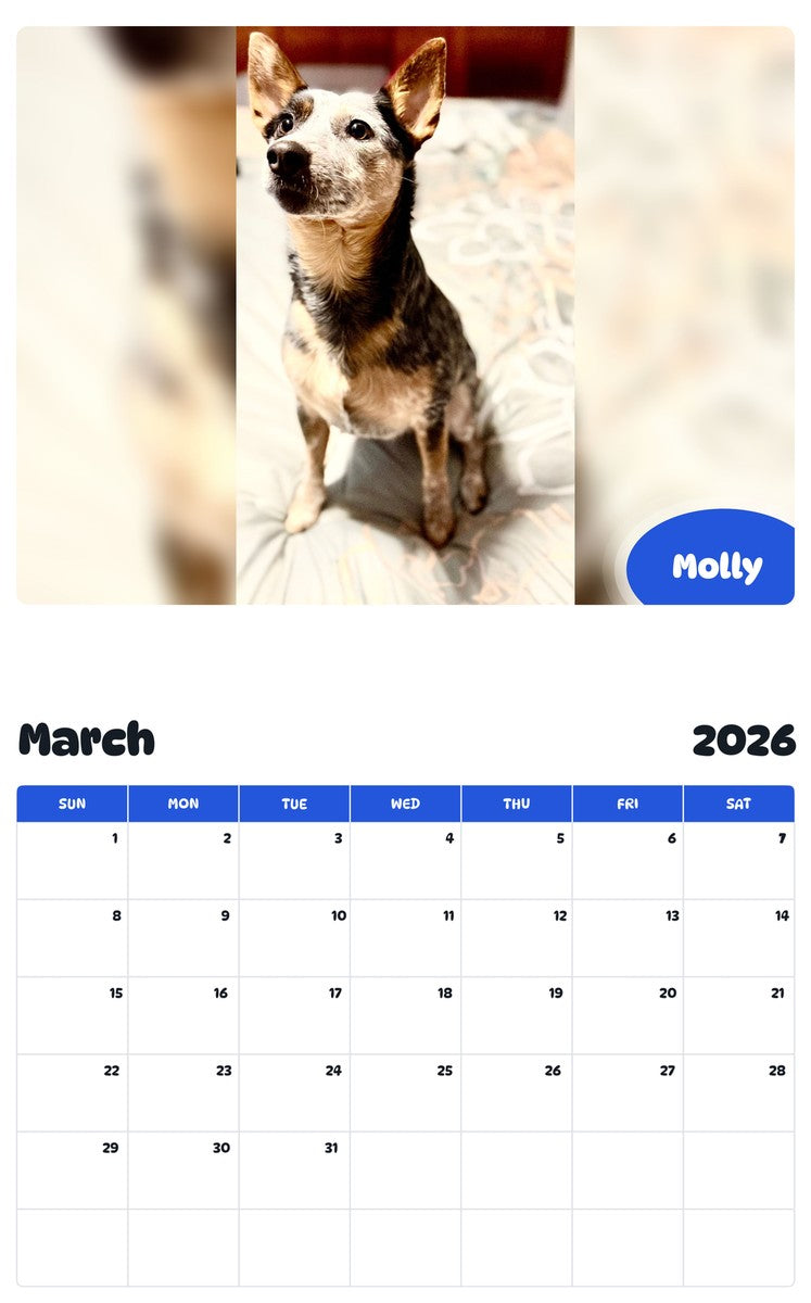 November 2025 - October 2026 Molly - Pawidols Pet Calendar