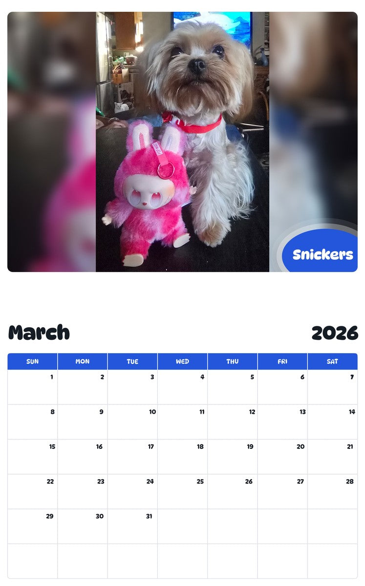 November 2025 - October 2026 Snickers - Pawidols Pet Calendar