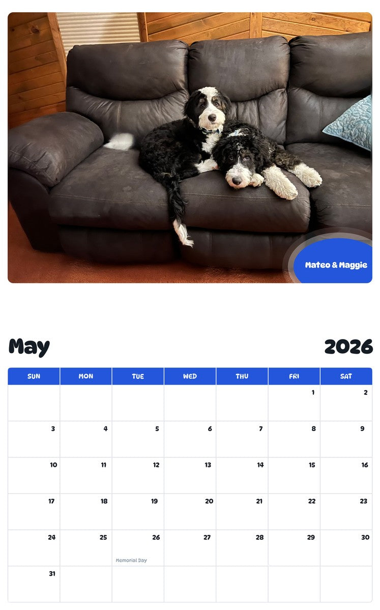 2026 - 2027 Mateo & Maggie - Pawidols Pet Calendar