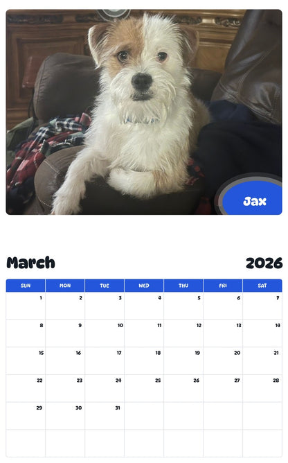 November 2025 - October 2026 Jax - Pawidols Pet Calendar