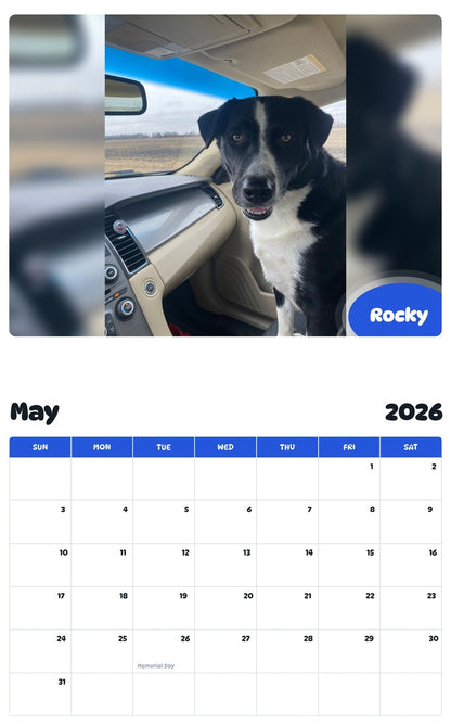 2026 - 2027 Rocky - Pawidols Pet Calendar