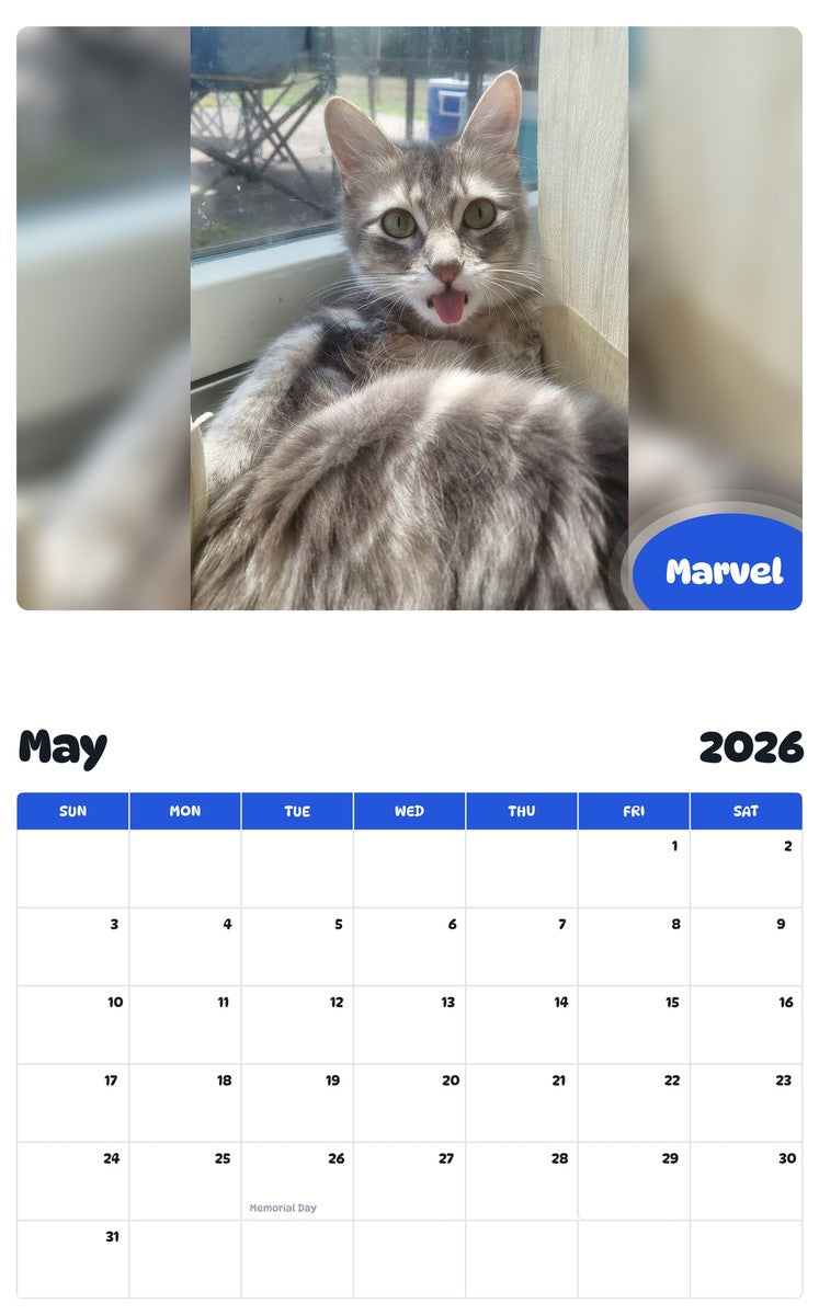 2026 - 2027 Marvel - Pawidols Pet Calendar