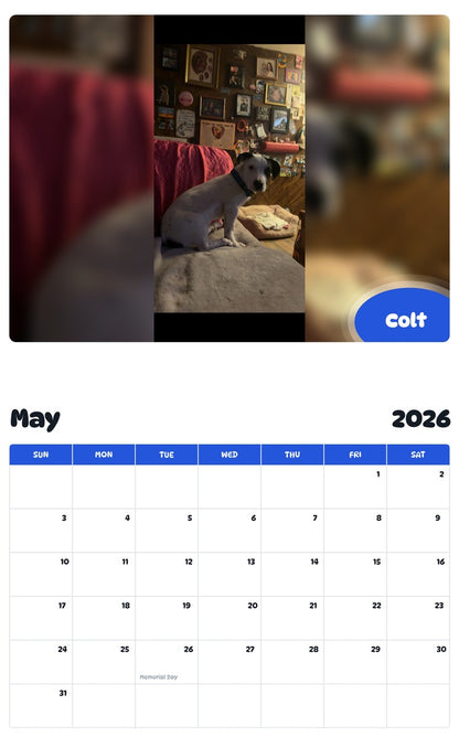 2026 - 2027 Colt - Pawidols Pet Calendar